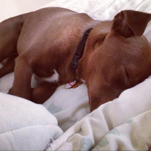 Meet your Posher, Jstarr - Picture 5 of 16